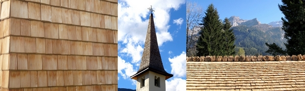 Bardeaux Tavillons 600 1